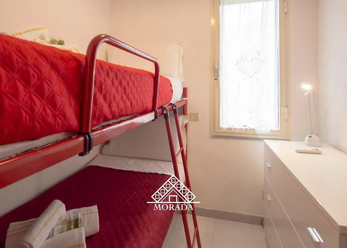 فيلة Arrubia - Morada *